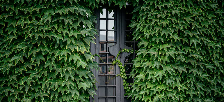 Garden Gate Repair in Jacksonville Beach, FL