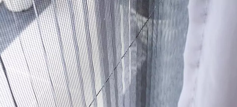 Fixing Screen Window Mesh in Jacksonville Beach, FL
