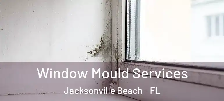  Window Mould Services Jacksonville Beach - FL